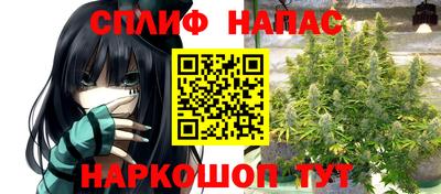 каннабис Дубна