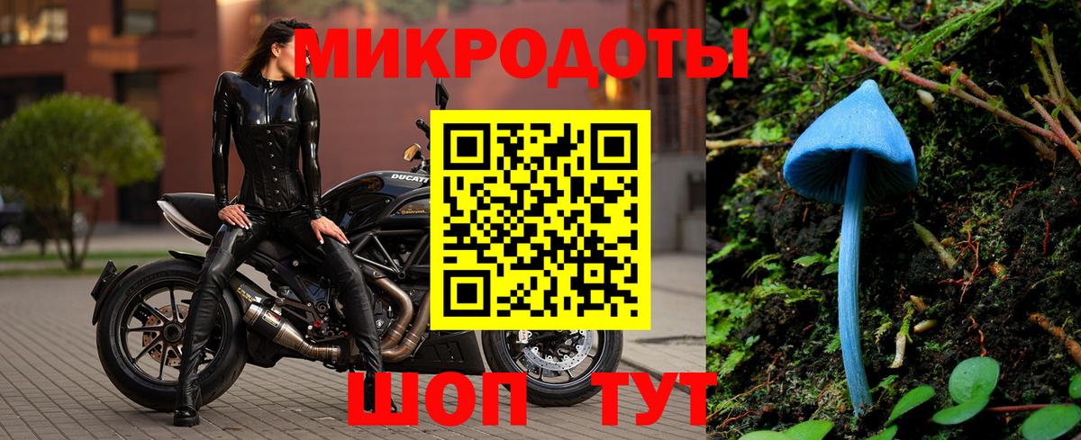 Псилоцибиновые грибы Psilocybe  Вход с VPN  купить  цена  Псилоцибиновые грибы Psilocybine cubensis  Железногорск 